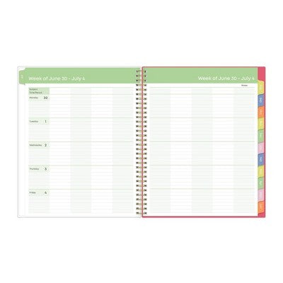 Blue Sky Weekly/Monthly Wirebound Teacher Lesson Planner 8.5"x1" Printed Apple Sketch