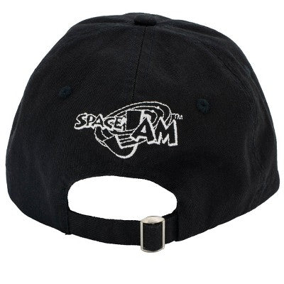 Space Jam Dunk It Hat