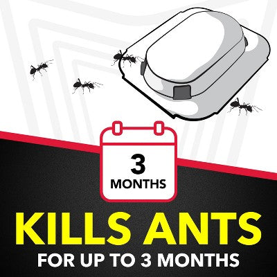 Raid Ant Bait & Indoor Ant Trap - 8ct