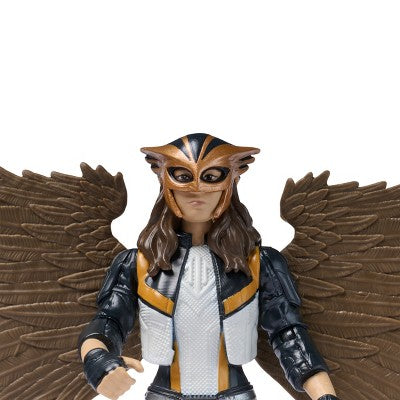DC Comics Superman Hawkgirl Action Figure 6"