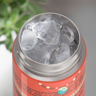 Thermos 16 fl oz FUNtainer Bottle - Moana