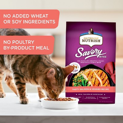Rachael Ray Nutrish Tasty Salmon and Vegetable Recipe Dry Cat Food - 5lbs