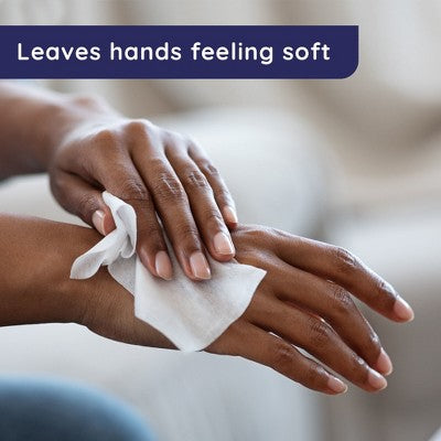Wet Ones Antibacterial Travel Pack Limited Edition Packaging Hand Wipes - Fresh Scent - 20ct