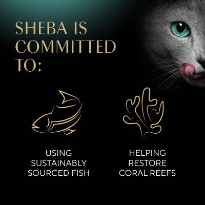 Sheba Perfect Portions Cuts in Gravy Chicken and Turkey Flavor Variety Pack Wet Cat Food - 2.64oz/12ct
