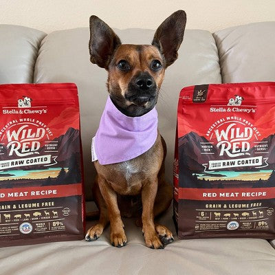 Stella & Chewy's Pork, Beef and Lamb Flavor Wild Red Raw Coated Grain and Legume Free Dry Dog Food - 3.5lbs