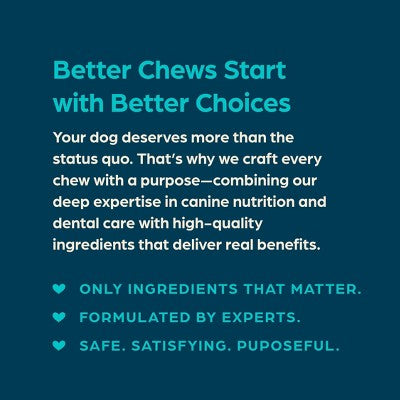 Chewsday Mint Flavor Dental and Hard Chew with Enzyme Dog Treats - 6.55oz/7ct