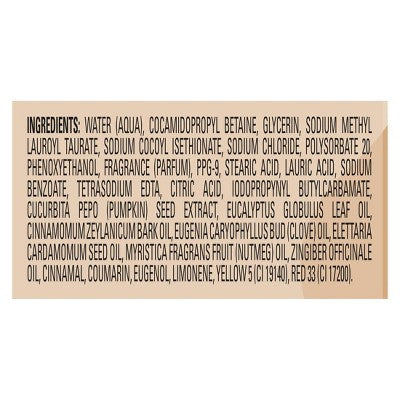 Beloved Pumpkin & Chai Foaming Hand Wash - 8oz