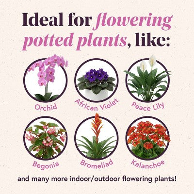 WE THE WILD Bloom Concentrate Fast-Release Organic Plant Food for Flowering Houseplants 5.1 fl oz