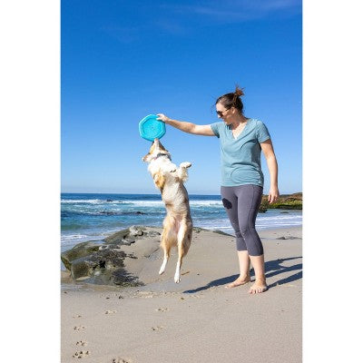 Project Hive Pet Company Soothing Vanilla Disc and Reversible Lick Mat Interactive Dog Toy - Blue