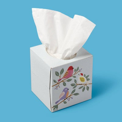 Spring Three Birds Ultra Soft Facial Tissue - 65ct - up&up: Square Container, 3-Ply