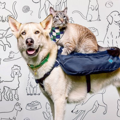 Dog Backpack Harness - Dark Blue - The Cuddle Collab with Baloo & Pan - L