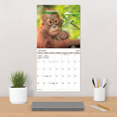 DateWorks 12"x12" 2026 Animal Babies Wall Calendar