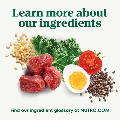 Nutro Wholesome Nutrition Natural Choice Essentials Chicken, Vegetable and Rice Flavor Small Breed Adult Dry Dog Food - 5lbs