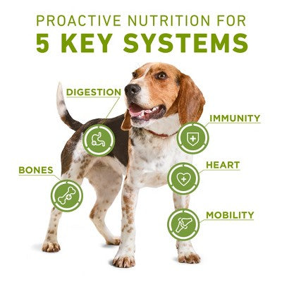 Purina ONE 5-in-1 Whole Body Health Chicken Flavor Dry Dog Food - 16.5lbs (LOCAL PICKUP ONLY)