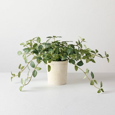 10" Small Trailing Peperomia Artificial Plant - Hearth & Hand with Magnolia