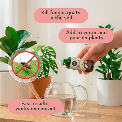 WE THE WILD Pest & Shine Kit Organic Chemical-Free Easy 3-Step Care For Houseplants