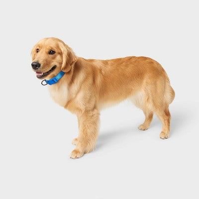 Basic Adjustable Dog Collar with Matching Buckle - L - Blue - Boots & Barkley