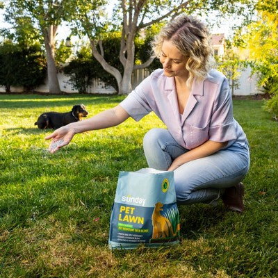 Sunday Pet Lawn Seed 5lbs