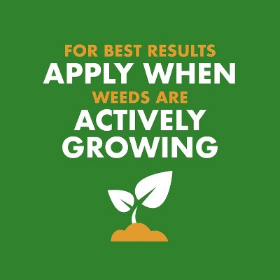 32 fl oz Ready-to-Spray Weed & Feed - Spectracide