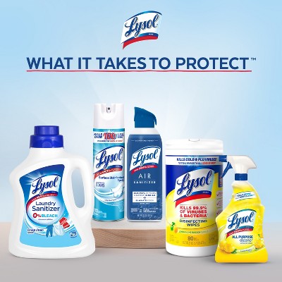 Lysol Lime & Rust Toilet Bowl Cleaners - 2pk
