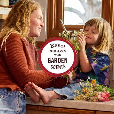 Mrs. Meyer's Clean Day Fabric Fresh Air Fresheners - Rain Water - 20oz: Dye-Free, Paraben-Free, Liquid Spray