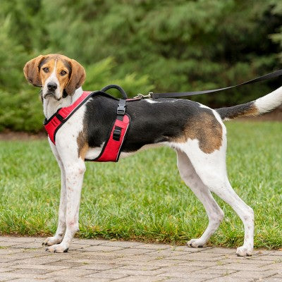 PetSafe EasySport Adjustable Dog Harness - M - Red