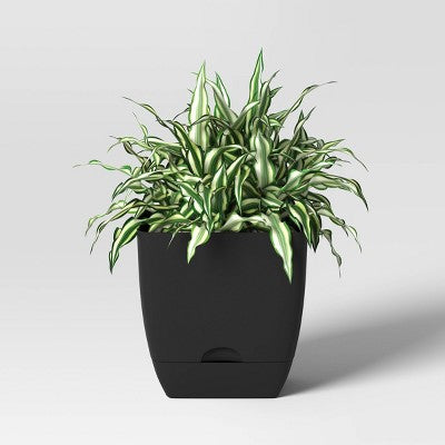 Square Self-Watering Plastic Indoor Outdoor Planter Pot Black 10"x10" - Room Essentials