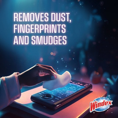 Windex Original Gaming All-Purpose Cleaners Wipes - 25ct: Resealable Bag, Streak-Free Surface, Removes Dust, Multi-Surface