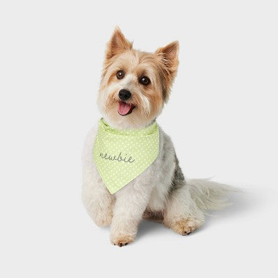 Newbie Puppy Dog Bandana - Boots & Barkley - Green - One Size Fits Most