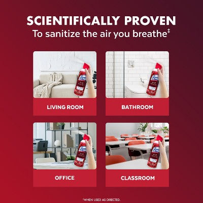 Lysol Aerosol Air Sanitizer - Berry Burst - 10oz