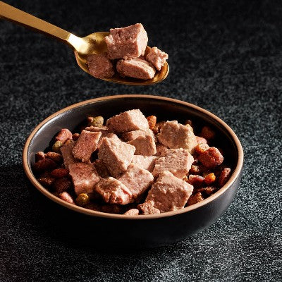 Cesar Loaf in Sauce Porterhouse Beef Flavor Adult Wet Dog Food - 3.5oz