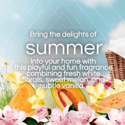 Air Wick Scented Oil Air Freshener Refills - Summer Delights - 4pk: Electric Plug-In, Melon & Wildflower Fragrance