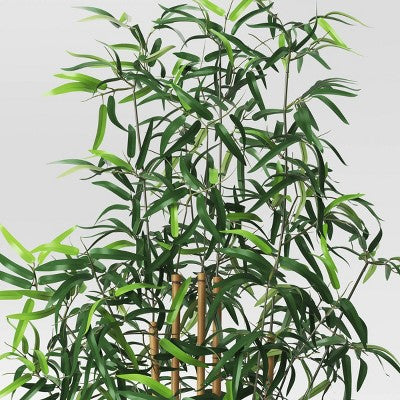 Faux Bamboo Artificial Tree Green - Room Essentials (LOCAL PICKUP ONLY)