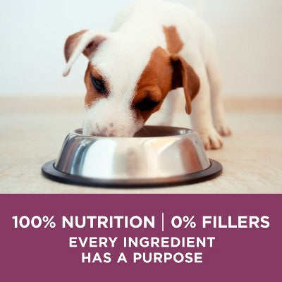 Purina ONE SmartBlend Healthy Puppy Natural Chicken Flavor Dry Dog Food - 16.5lbs (LOCAL PICKUP ONLY)