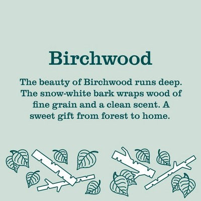 Mrs. Meyer's Clean Day Liquid Hand Soap Refill - Birchwood - 33 fl oz