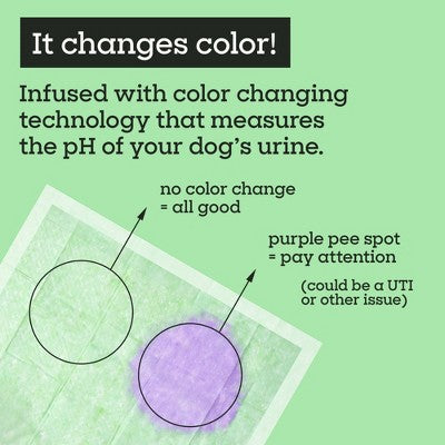 Pet Life Unlimited Health Tracker Dog Pads - 20ct: Unscented, Pet Training Pads, All Ages