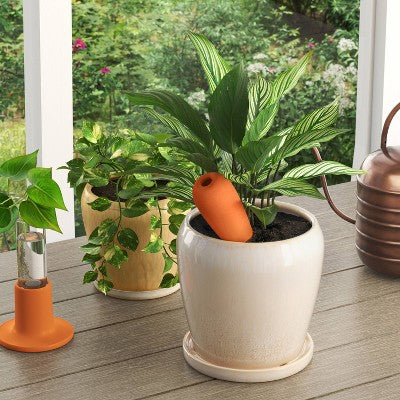 Terracotta Plant Watering Spike - Threshold