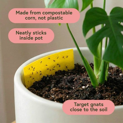 WE THE WILD Pest & Shine Kit Organic Chemical-Free Easy 3-Step Care For Houseplants