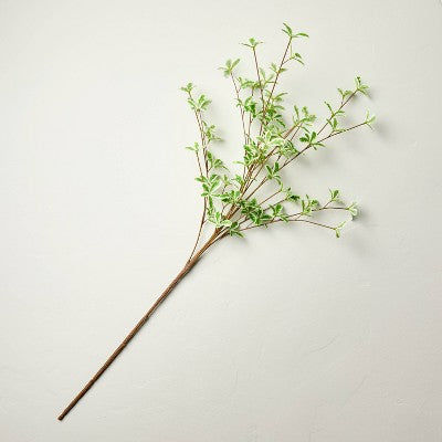 36" Faux Variegated Terminalia Leaf Branch - Hearth & Hand with Magnolia (LOCAL PICKUP ONLY)