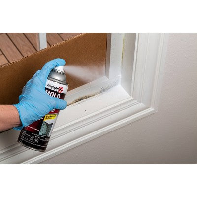 Zinsser Mold Blocking Primer Spray