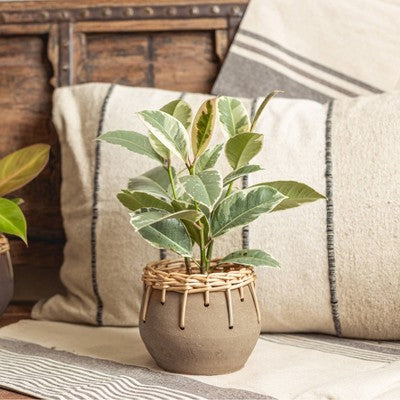LiveTrends Large Cava Ceramic Indoor Planter Pot Assorted Gray 6.5"x6.5"x5.5"
