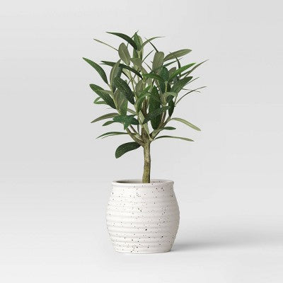 12" Olive Artificial Plant - Threshold designed with Studio McGee