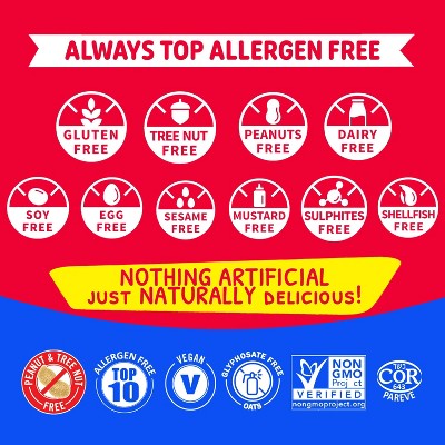 ALLERGY SMART Gluten Free Chocolate Chip Mini Cookies Family Pack - 7.05oz/10ct