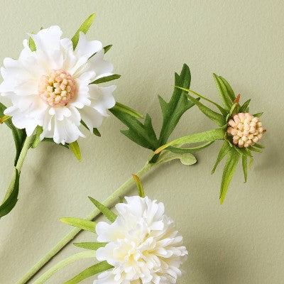 25" Scabiosa Artificial Stem White - Hearth & Hand with Magnolia