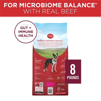 Purina ONE SmartBlend Small Bites Beef & Rice Formula Adult Dry Dog Food - 8lbs