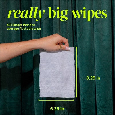 Goodwipes Flushable Personal Wipes - Rosewater - 50ct/4pk