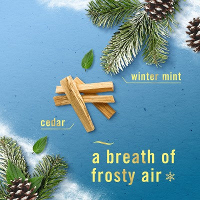 Febreze Bathroom Air Freshener - Serene Snowfall - 1ct