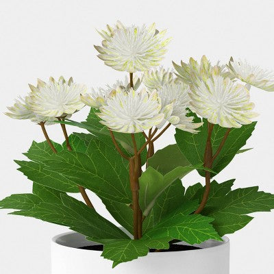 Pilea Mini Arrangement - Room Essentials