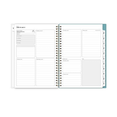Blue Sky 5.875"x8.625" 2025-2026 Weekly/Monthly Wirebound Planner Clear Cover Tinned Light Multi
