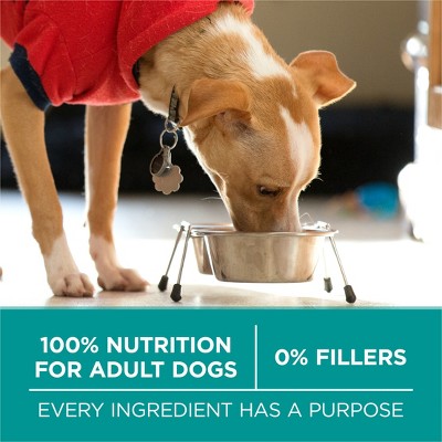 Purina ONE SmartBlend Natural Digestive & Probiotic Health Rice and Chicken Flavor Dry Dog Food - 16.5lbs (LOCAL PICKUP ONLY)